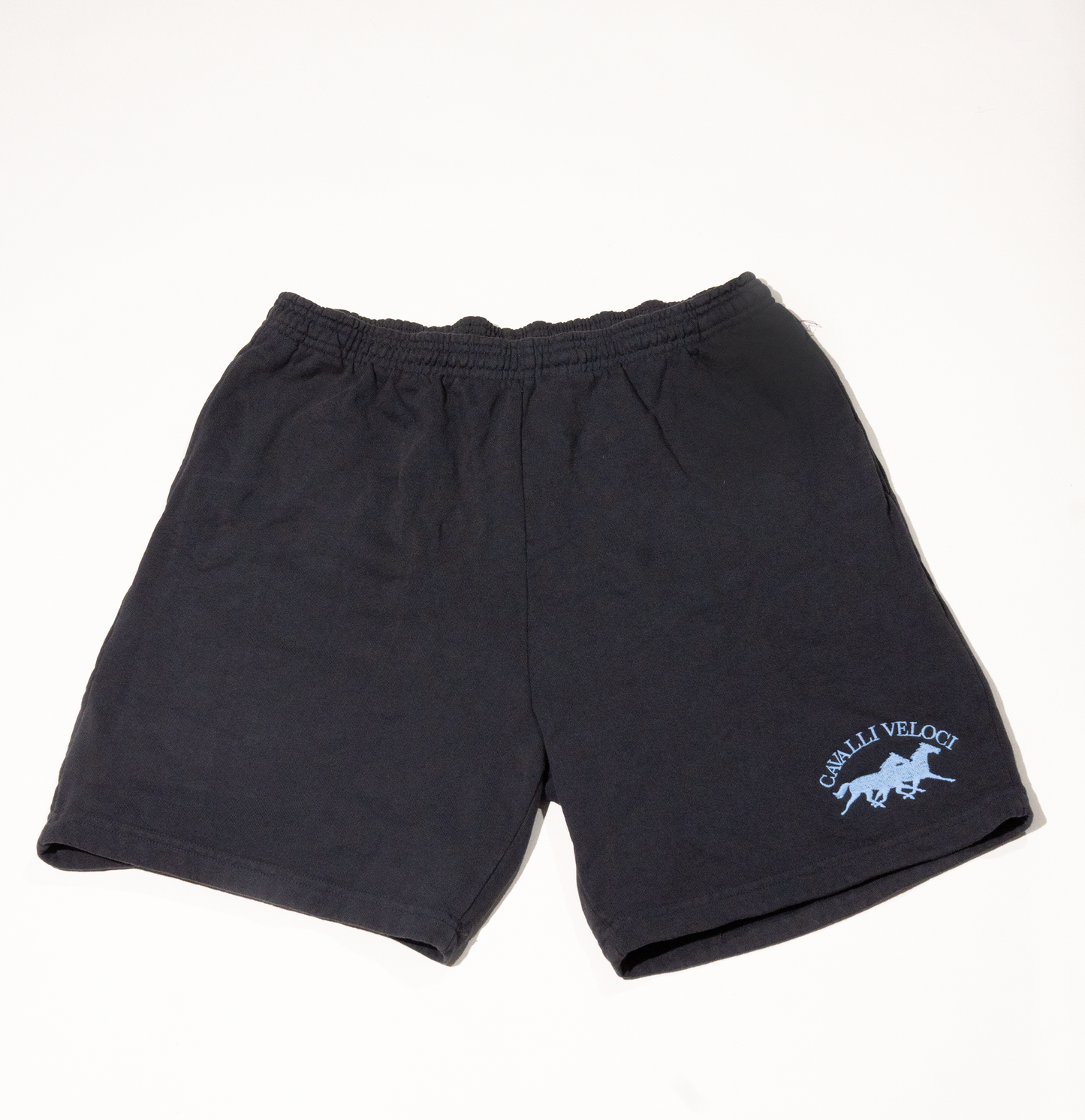 Cavalli Veloci Shorts Navy